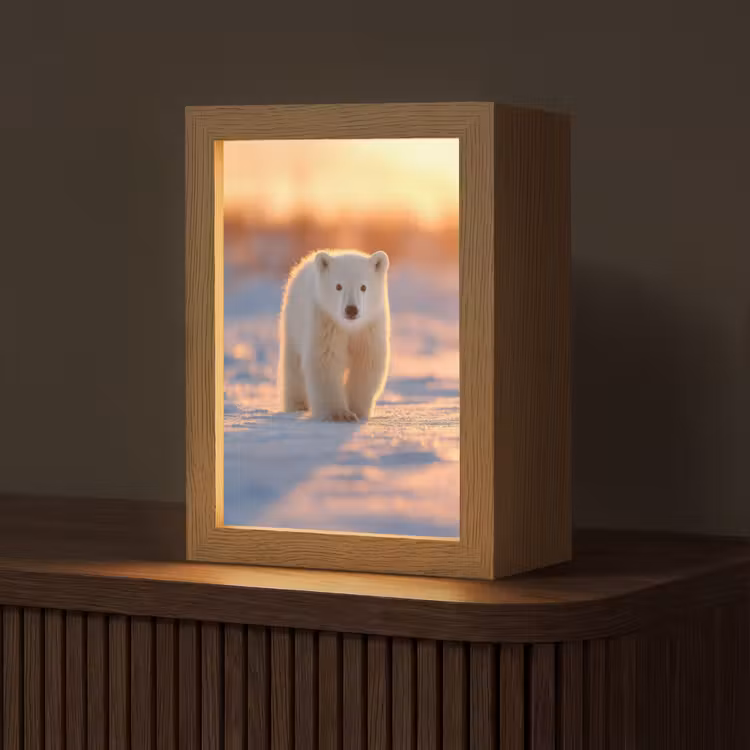Ijsbeer - Sneeuw - Zonsopgang Light Box met kabel (Tafellamp) klein -z3d_website