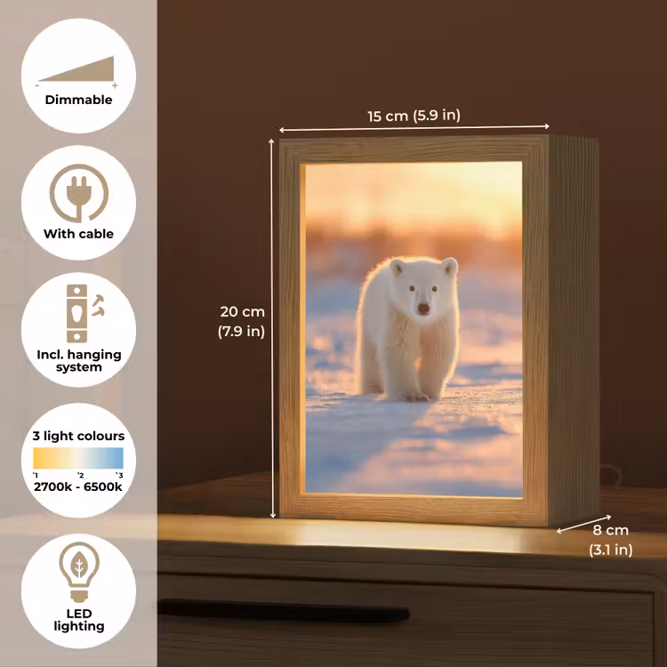 Ijsbeer - Sneeuw - Zonsopgang Light Box met kabel (Tafellamp) klein -USP_EN
