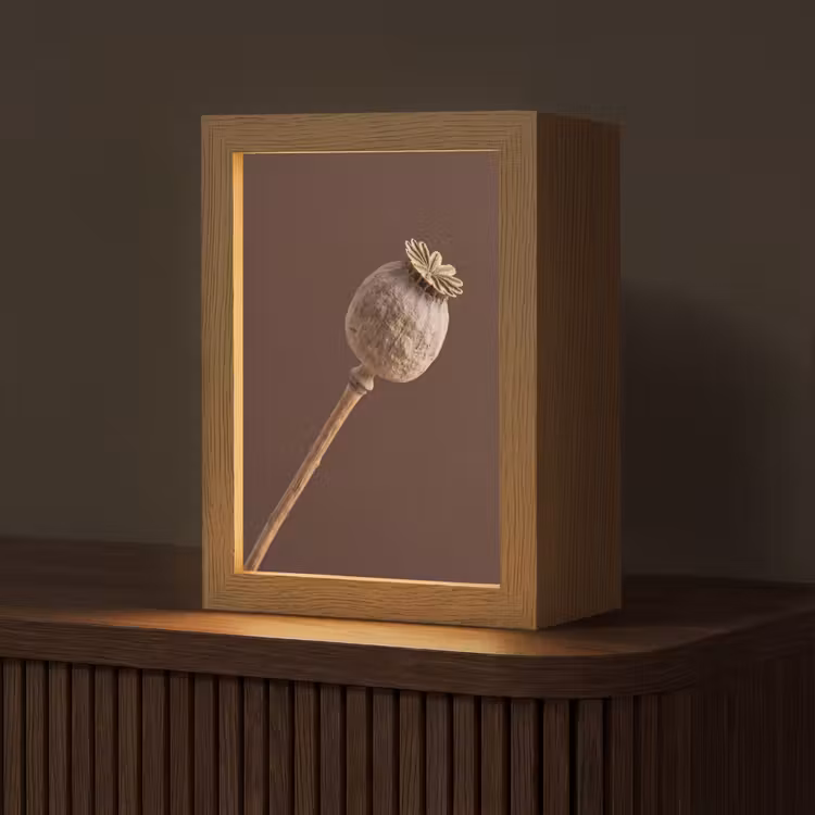 Papaverbol - Droogbloem - Bruin - Minimalistisch Light Box met kabel (Tafellamp) klein -z3d_website