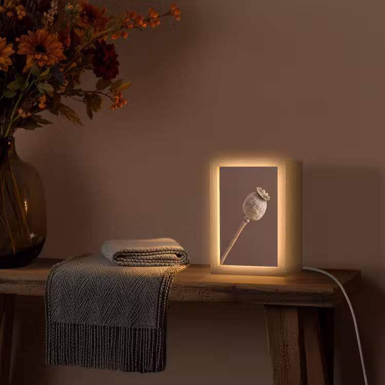 Papaverbol - Droogbloem - Bruin - Minimalistisch Light Box met kabel (Tafellamp) klein -sfeer4