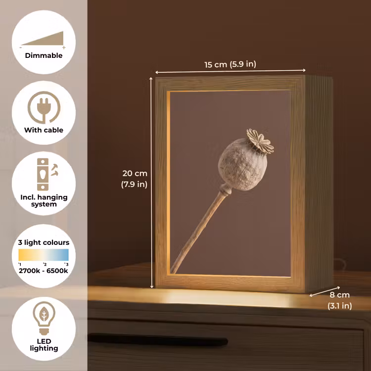 Papaverbol - Droogbloem - Bruin - Minimalistisch Light Box met kabel (Tafellamp) klein -USP_EN