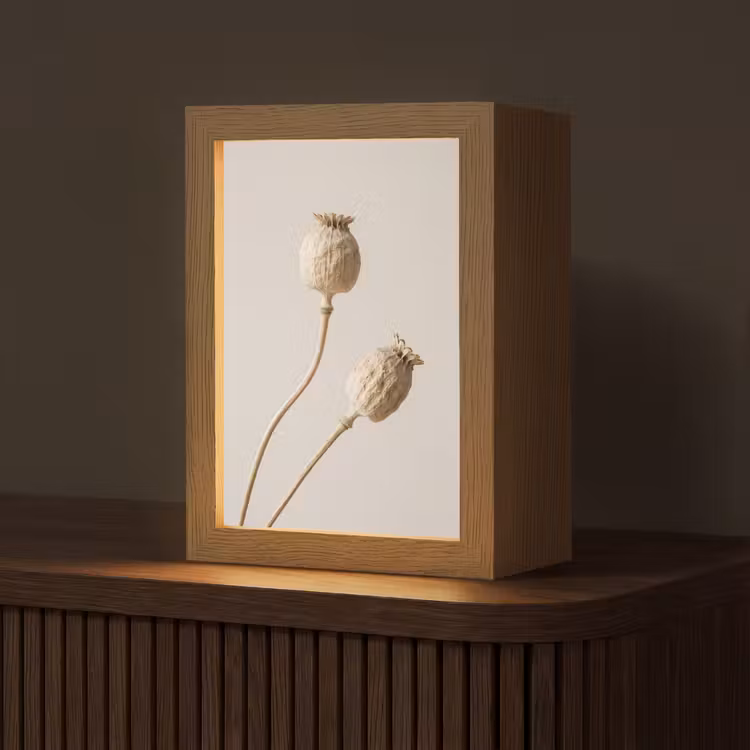 Papaverbollen - Droogbloemen - Minimalistisch - Beige - Rustig Light Box met kabel (Tafellamp) klein -z3d_website