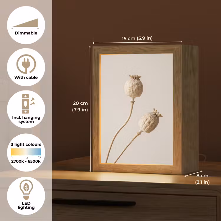 Papaverbollen - Droogbloemen - Minimalistisch - Beige - Rustig Light Box met kabel (Tafellamp) klein -USP_EN