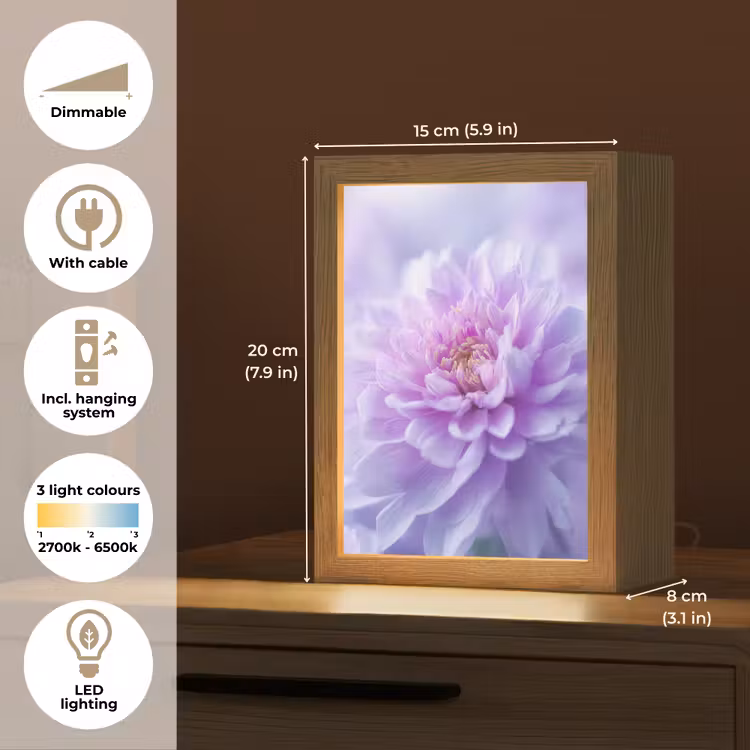 Paars - Dahlia - Dromerig Light Box met kabel (Tafellamp) klein -USP_EN
