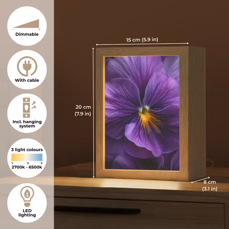 Paars - Viool - Diepte Light Box met kabel (Tafellamp) klein -USP_EN
