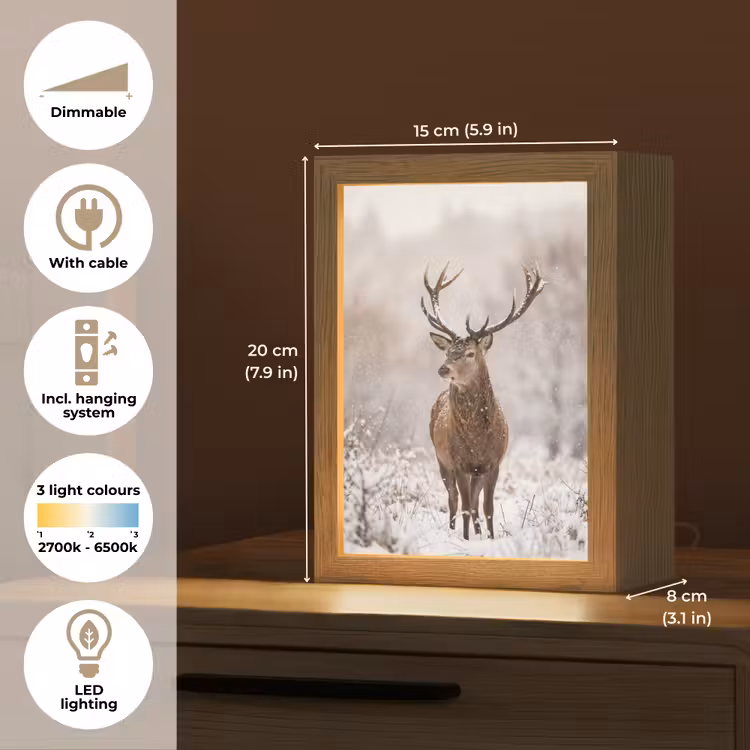 Edelhert - Bos - Sneeuw - Winter - Majestueus Light Box met kabel (Tafellamp) klein -USP_EN