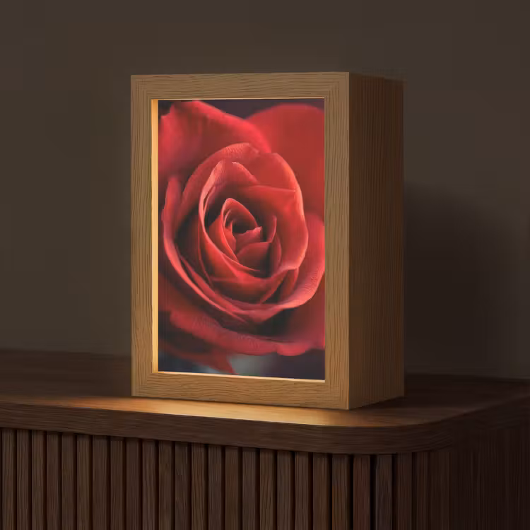 Rood - Roos - Romantisch Light Box met kabel (Tafellamp) klein -z3d_website