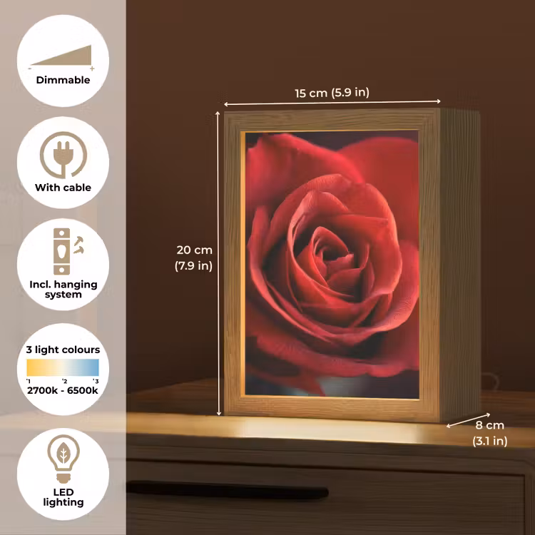 Rood - Roos - Romantisch Light Box met kabel (Tafellamp) klein -USP_EN