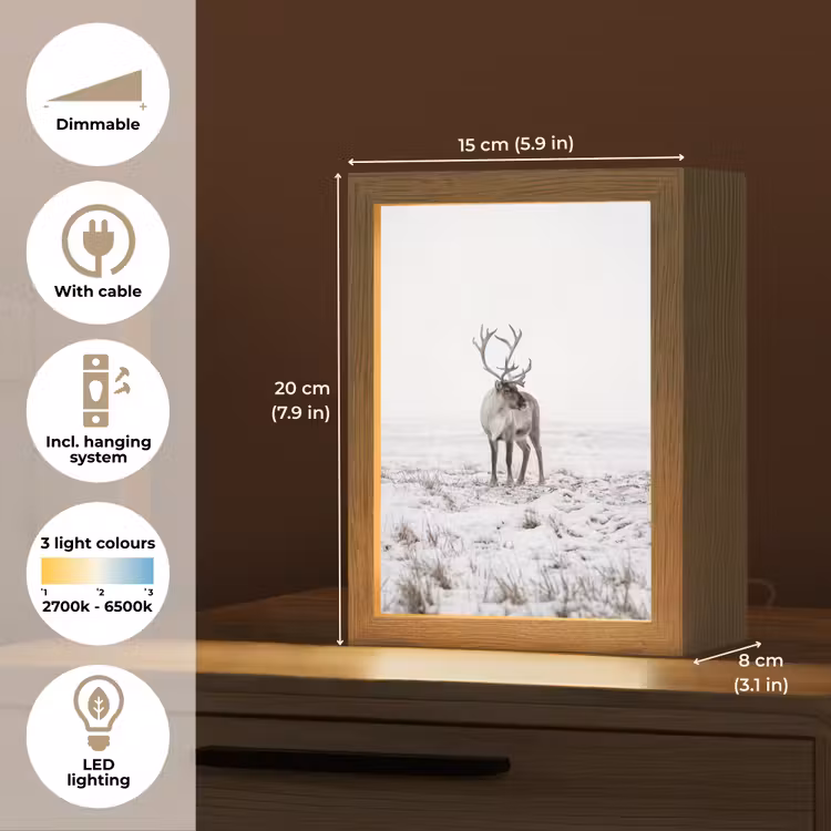 Rendier - Gewei - Sneeuw - Winter Light Box met kabel (Tafellamp) klein -USP_EN