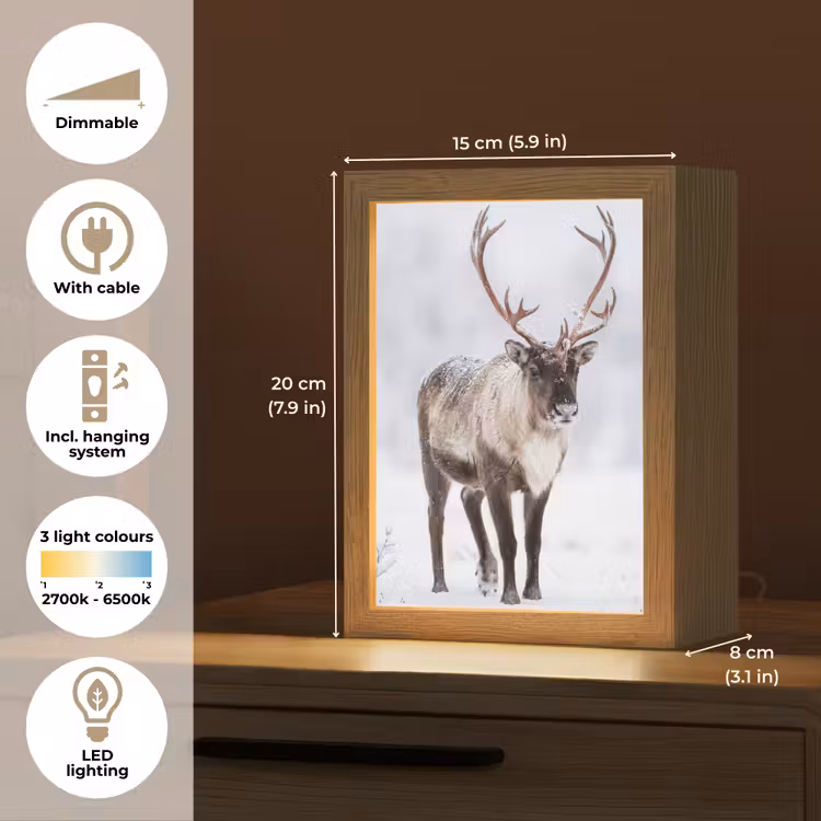Rendier - Gewei - Toendra - Sneeuw - Wild Light Box met kabel (Tafellamp) klein -USP_EN