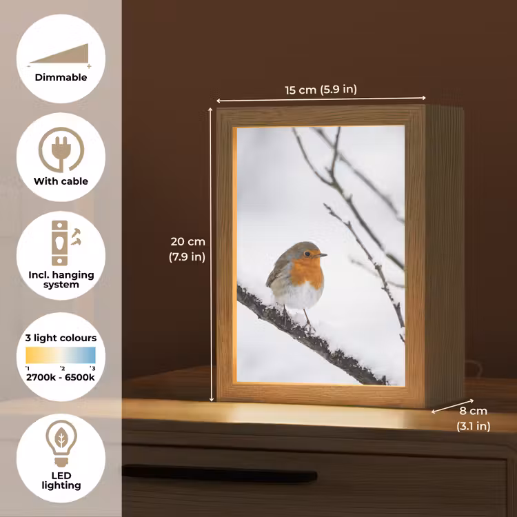 Roodborstje - Tak - Sneeuw - Winter - Levendig Light Box met kabel (Tafellamp) klein -USP_EN