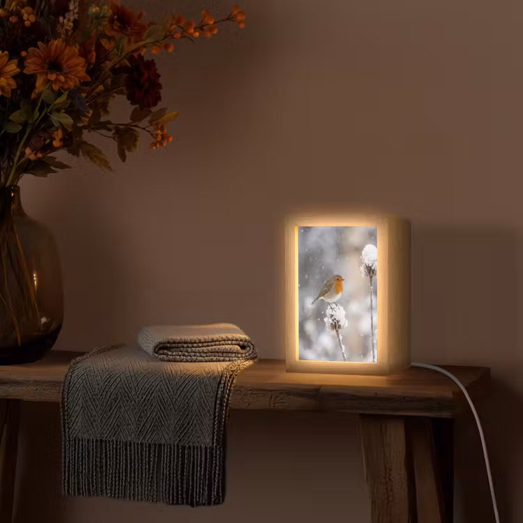 Roodborstje - Gedroogde bloem - Sneeuw - Winter - Vertederend Light Box met kabel (Tafellamp) klein -sfeer4