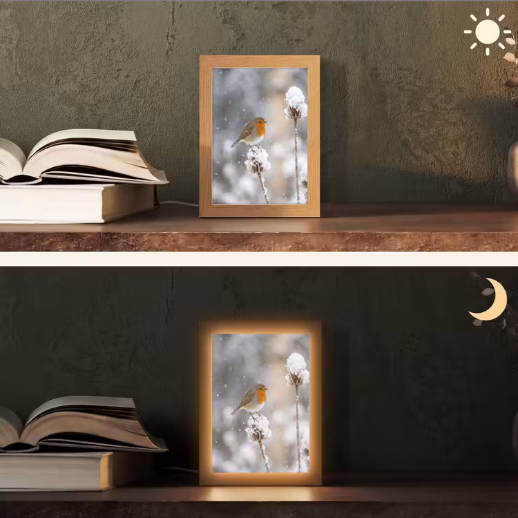 Roodborstje - Gedroogde bloem - Sneeuw - Winter - Vertederend Light Box met kabel (Tafellamp) klein -sfeer3