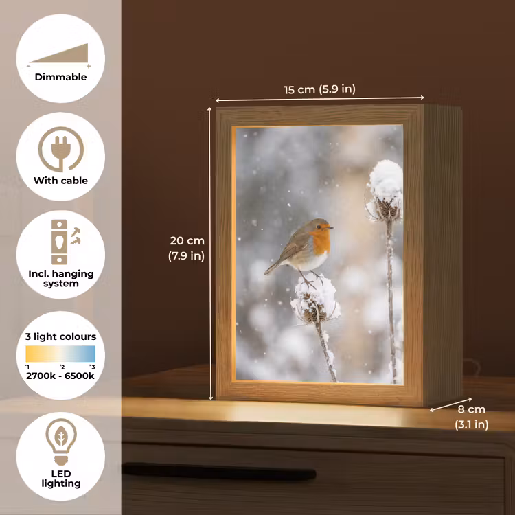 Roodborstje - Gedroogde bloem - Sneeuw - Winter - Vertederend Light Box met kabel (Tafellamp) klein -USP_EN