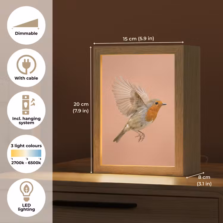 Roodborst - Natuur - Roze Light Box met kabel (Tafellamp) klein -USP_EN