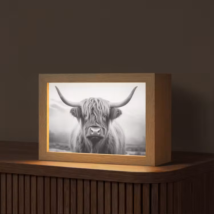 Schotse hooglander - Dieren portret - Zwart - Wit - Dier Light Box met kabel (Tafellamp) klein -z3d_website