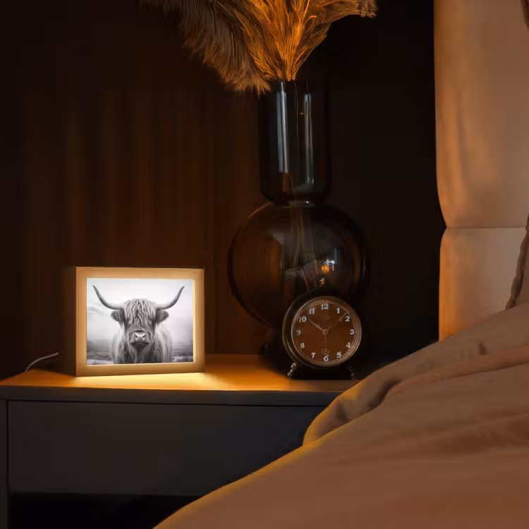 Schotse hooglander - Dieren portret - Zwart - Wit - Dier Light Box met kabel (Tafellamp) klein -sfeer1