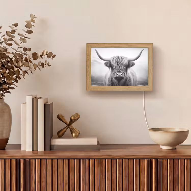 Schotse hooglander - Dieren portret - Zwart - Wit - Dier Light Box met kabel (Tafellamp) klein -sfeer2