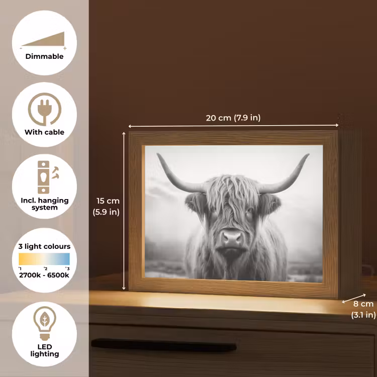 Schotse hooglander - Dieren portret - Zwart - Wit - Dier Light Box met kabel (Tafellamp) klein -USP_EN