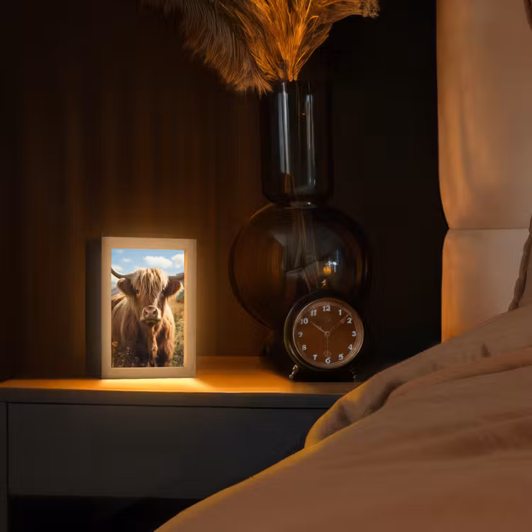 Schotse hooglander - Dieren portret - Natuur - Dier Light Box met kabel (Tafellamp) klein -sfeer1