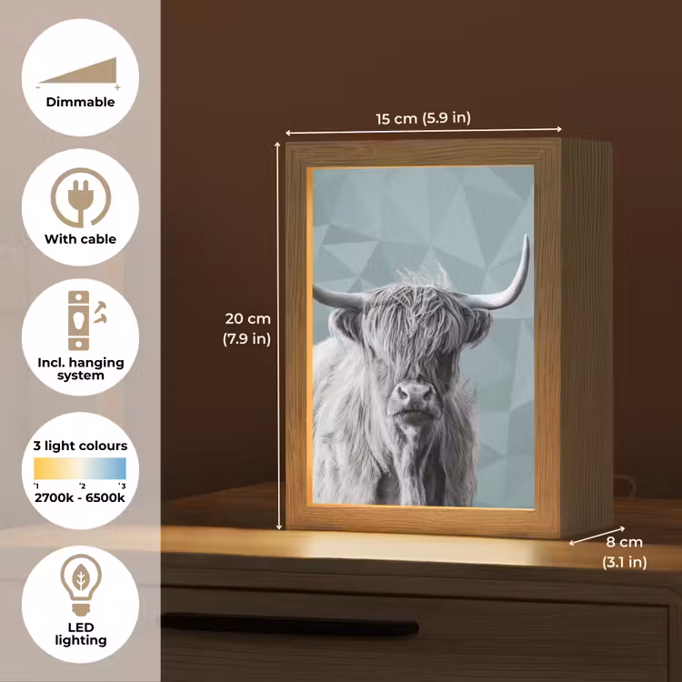 Schotse hooglander - Zwart wit - Patroon - Driehoek Light Box met kabel (Tafellamp) klein -USP_EN