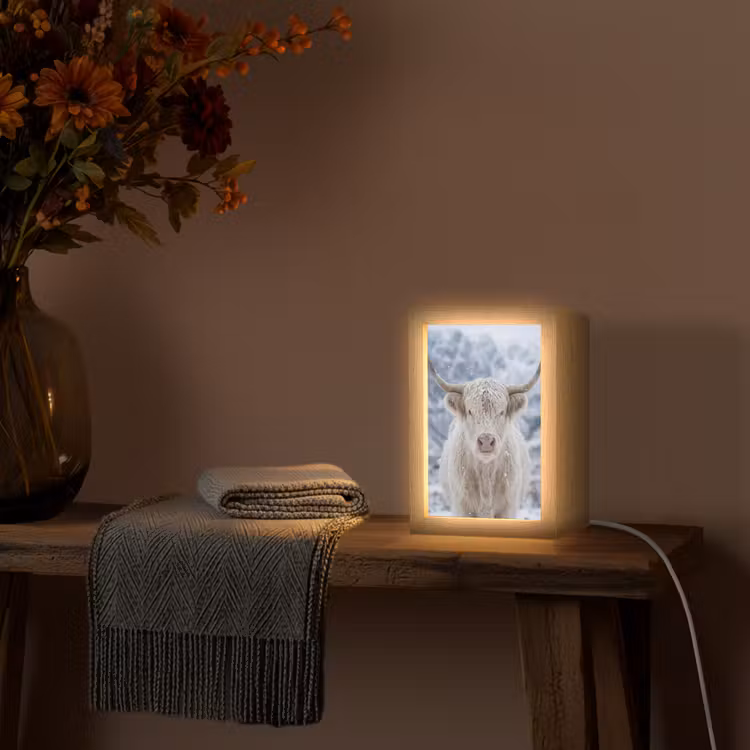 Schotse Hooglander - Sneeuw - Bergen - Winter Light Box met kabel (Tafellamp) klein -sfeer4