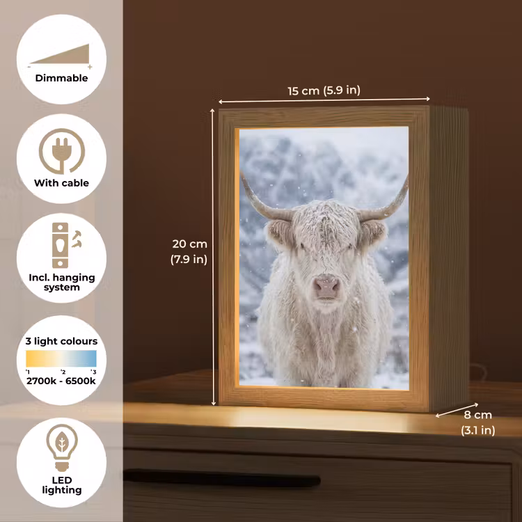 Schotse Hooglander - Sneeuw - Bergen - Winter Light Box met kabel (Tafellamp) klein -USP_EN
