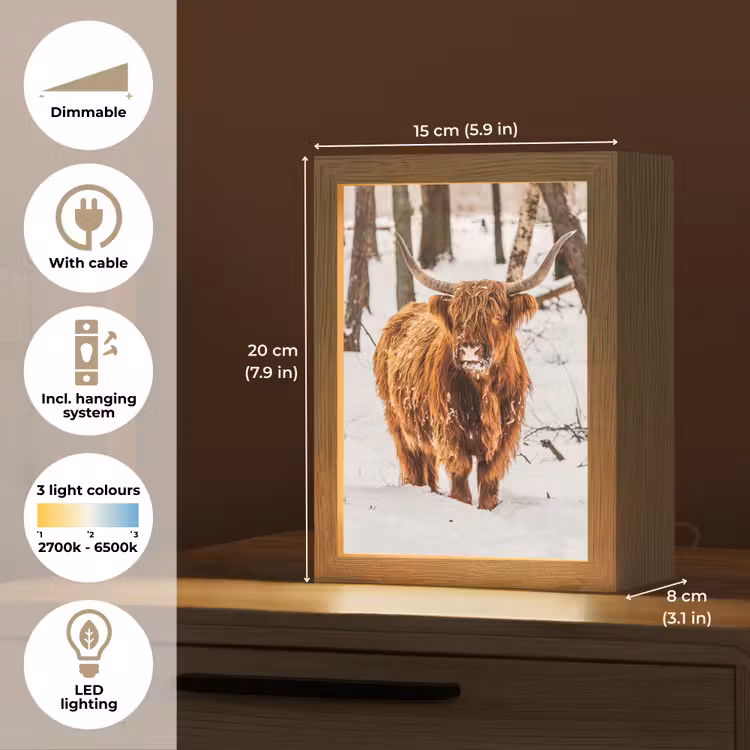 Schotse Hooglander - Sneeuw - Winter - Natuur - Dieren Light Box met kabel (Tafellamp) klein -USP_EN