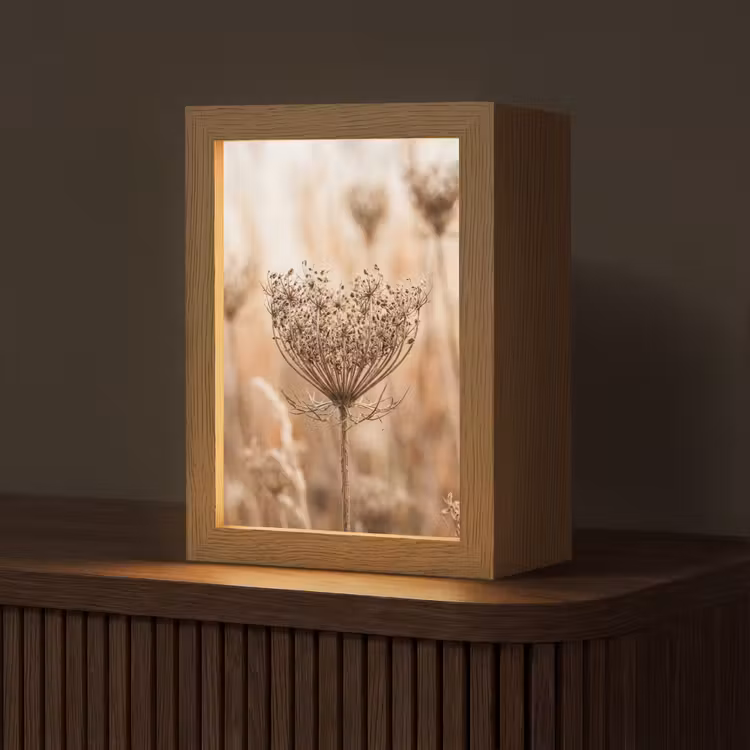 Schermbloem - Droogbloem - Winter - Beige - Minimalistisch Light Box met kabel (Tafellamp) klein -z3d_website