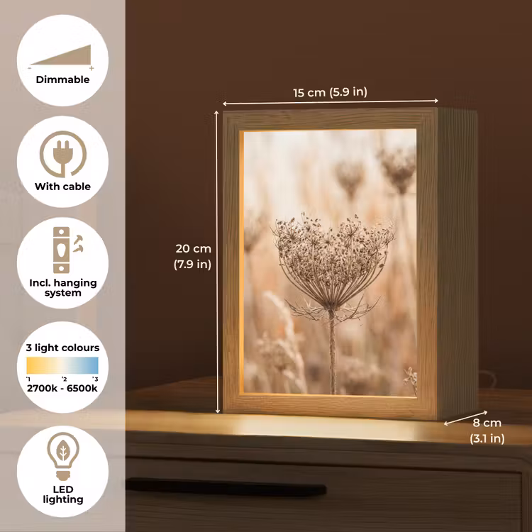Schermbloem - Droogbloem - Winter - Beige - Minimalistisch Light Box met kabel (Tafellamp) klein -USP_EN