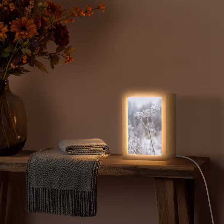 Schermbloem - Rijp - Kristallen - Winter - Delicaat Light Box met kabel (Tafellamp) klein -sfeer4
