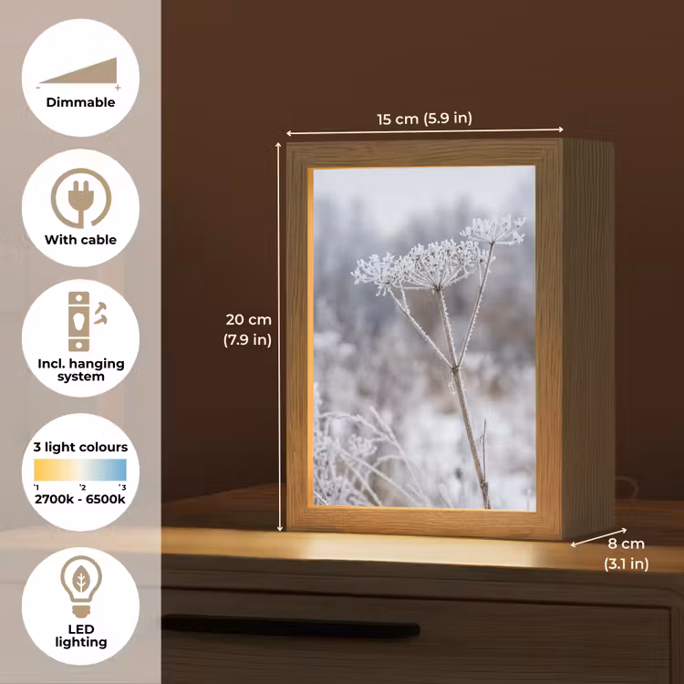 Schermbloem - Rijp - Kristallen - Winter - Delicaat Light Box met kabel (Tafellamp) klein -USP_EN