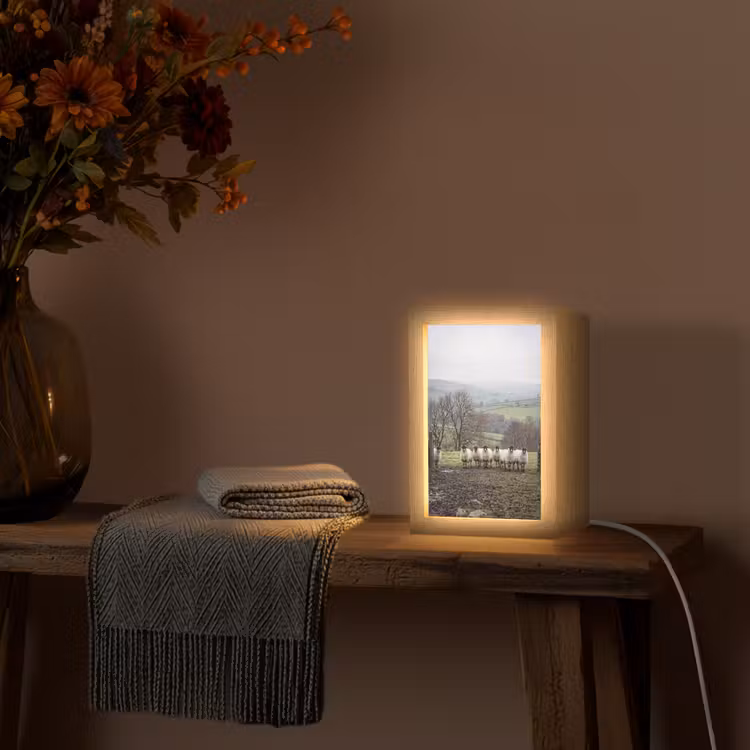 Schapen - Rij - Weide - Dieren - Platteland Light Box met kabel (Tafellamp) klein -sfeer4