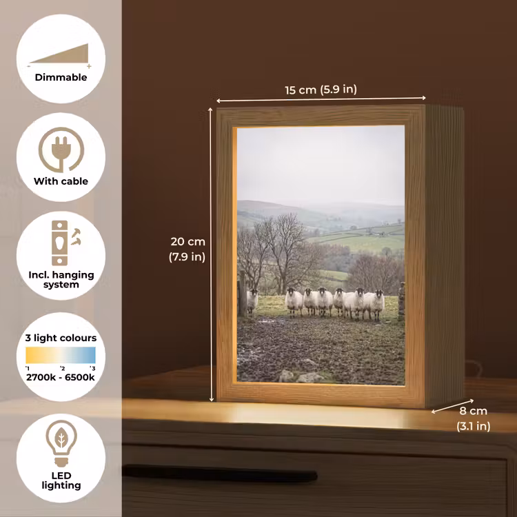 Schapen - Rij - Weide - Dieren - Platteland Light Box met kabel (Tafellamp) klein -USP_EN