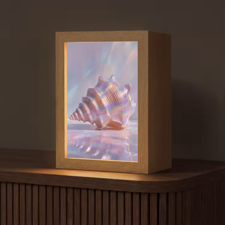 Schelp - Glanzend - Regenboogtinten Light Box met kabel (Tafellamp) klein -z3d_website