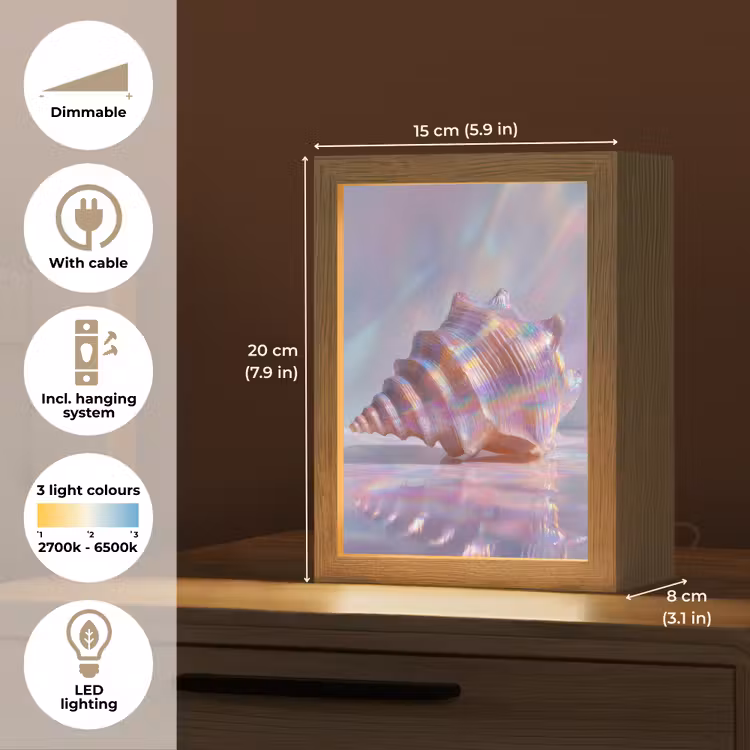 Schelp - Glanzend - Regenboogtinten Light Box met kabel (Tafellamp) klein -USP_EN
