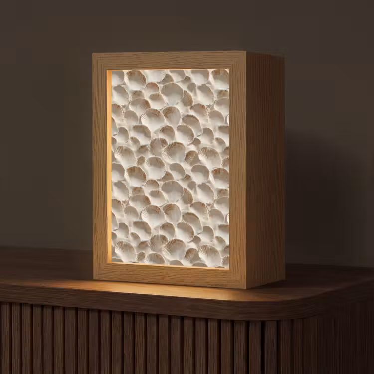 Schelpen - Waaiervorm - Wit Light Box met kabel (Tafellamp) klein 925 -z3d_website