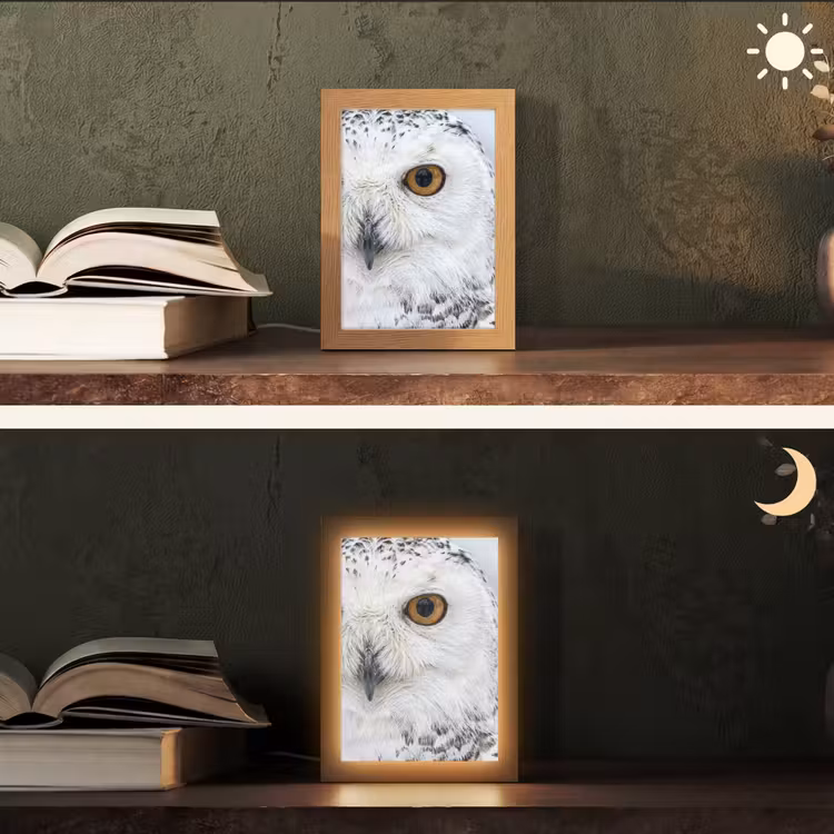 Sneeuwuil - Oog - Wildlife - Wit Light Box met kabel (Tafellamp) klein -sfeer3