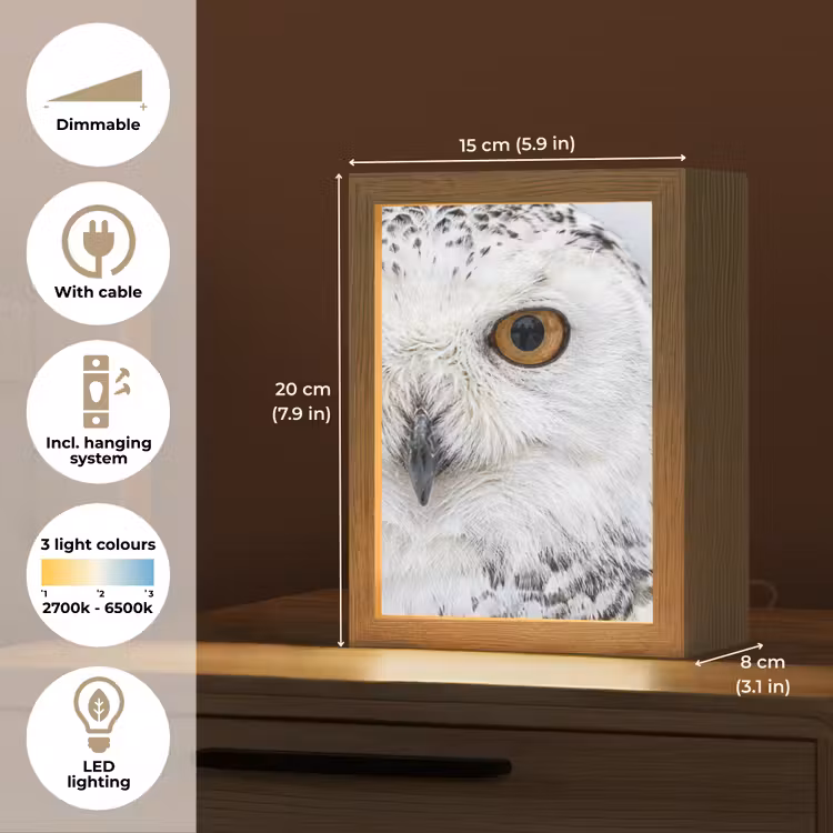 Sneeuwuil - Oog - Wildlife - Wit Light Box met kabel (Tafellamp) klein -USP_EN