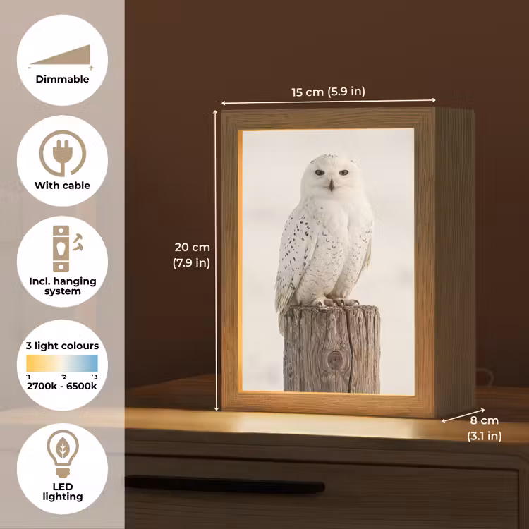 Sneeuwuil - Paal - Winter - Portret - Majestueus Light Box met kabel (Tafellamp) klein -USP_EN