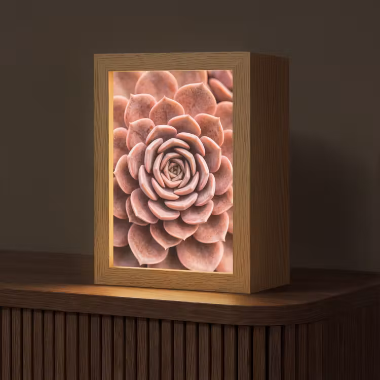Vetplant - Organisch - Roze Light Box met kabel (Tafellamp) klein -z3d_website