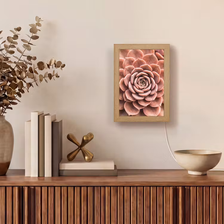 Vetplant - Organisch - Roze Light Box met kabel (Tafellamp) klein -sfeer2
