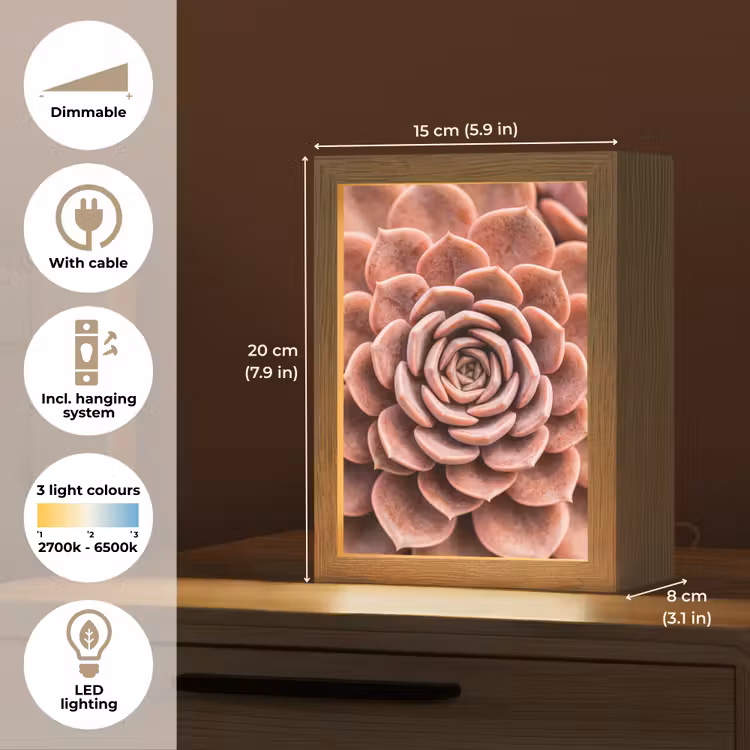 Vetplant - Organisch - Roze Light Box met kabel (Tafellamp) klein -USP_EN