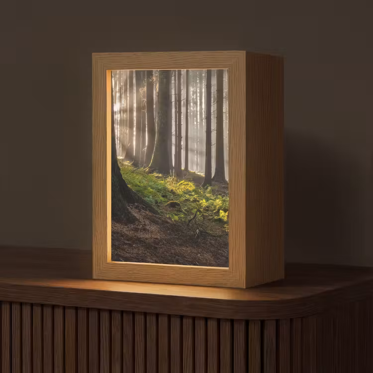 Zon - Takken - Bomen - Bos - Natuur Light Box met kabel (Tafellamp) klein -z3d_website