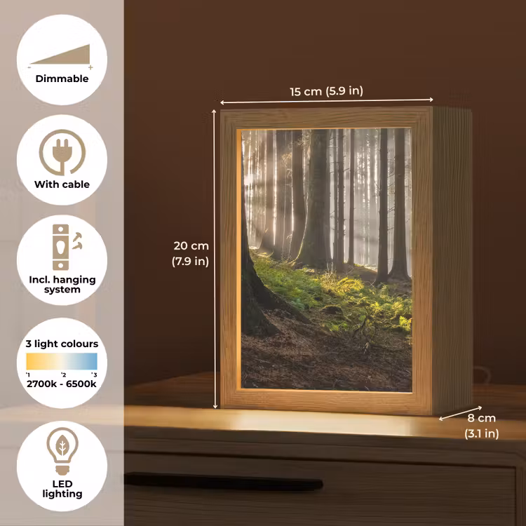 Zon - Takken - Bomen - Bos - Natuur Light Box met kabel (Tafellamp) klein -USP_EN
