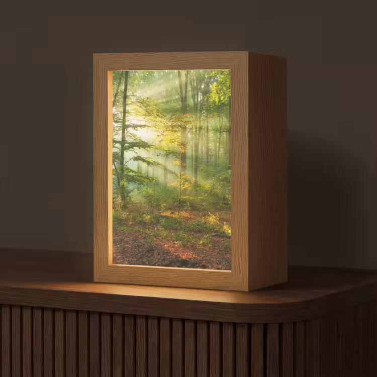 Zon - Bos - Bomen - Natuur - Herfst Light Box met kabel (Tafellamp) klein -z3d_website