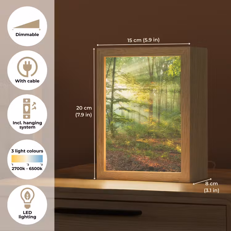 Zon - Bos - Bomen - Natuur - Herfst Light Box met kabel (Tafellamp) klein -USP_EN