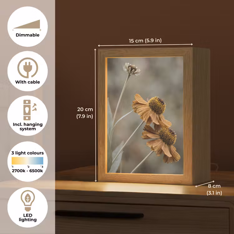 Zonnehoed - Droogbloemen - Geel - Warm Light Box met kabel (Tafellamp) klein -USP_EN