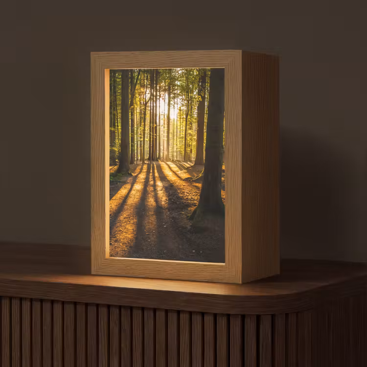 Zon - Bomen - Bos - Landschap - Natuur Light Box met kabel (Tafellamp) klein -z3d_website