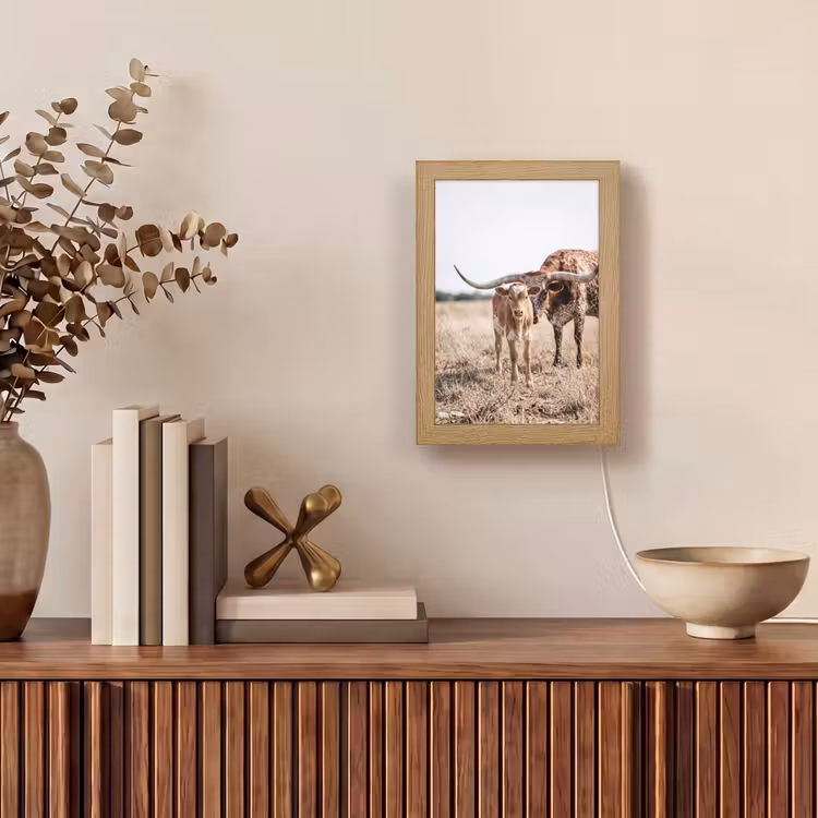 Texas Longhorn - Kalf - Weide - Dieren Light Box met kabel (Tafellamp) klein -sfeer2